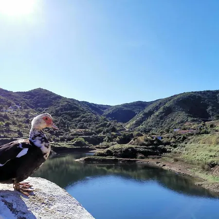 Leo: Remanso De Paz Y Tranquilidad Agulo